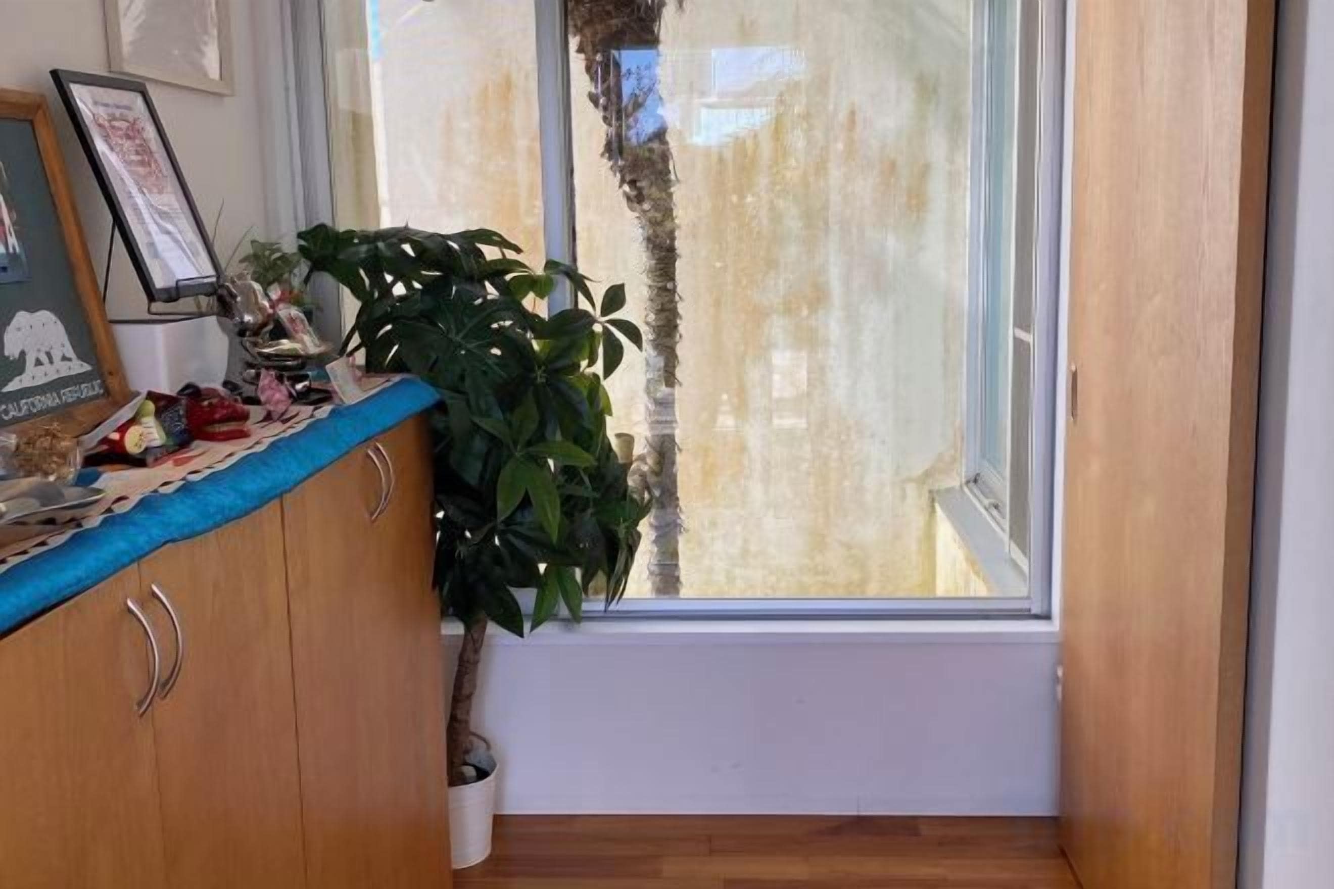 A room with a wooden cabinet, a potted plant, and a window with a view of a tree.
