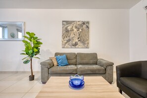 Televisión 