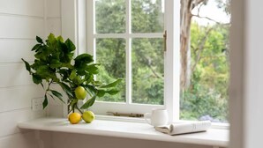 Une pièce avec une fenêtre, une plante et une serviette posée sur une chaise.