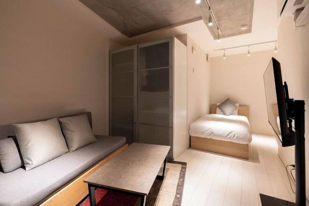 A compact room with a sofa, a bed, a television, and a sliding door closet.