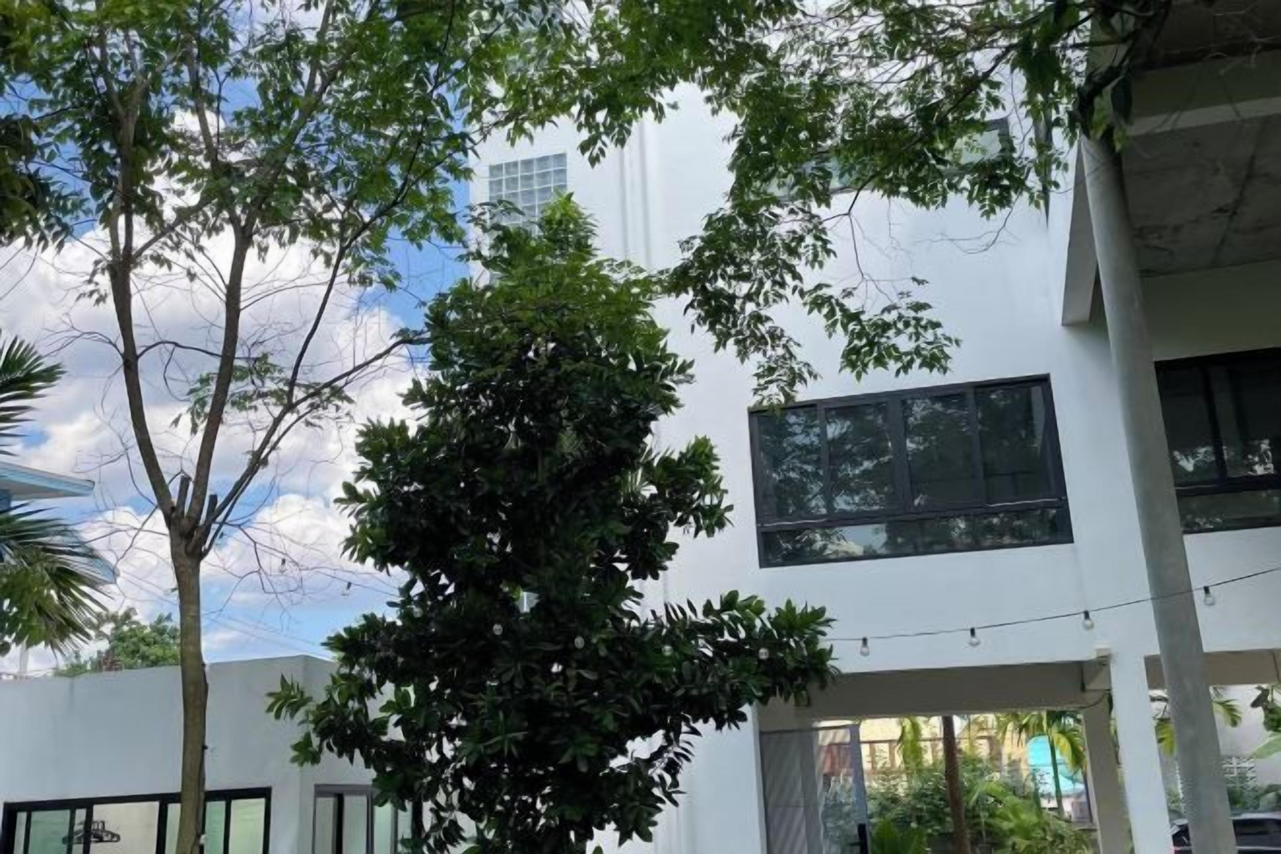 A modern building with large windows and a tree in the foreground.