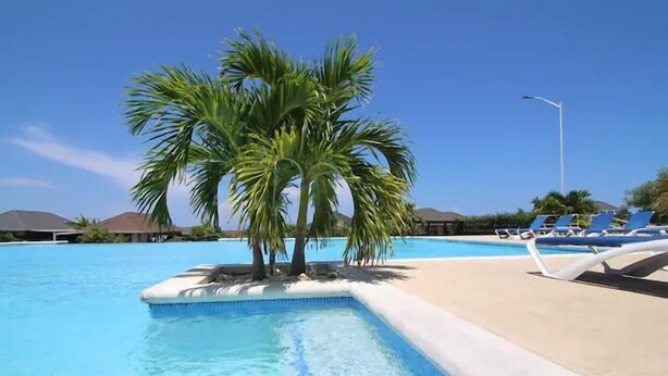 A swimming pool with a palm tree, lounge chairs, and a clear blue sky. - Relaxing Stay - Richmond Estate - 15mins Ocho Rios (St. Ann's Bay)