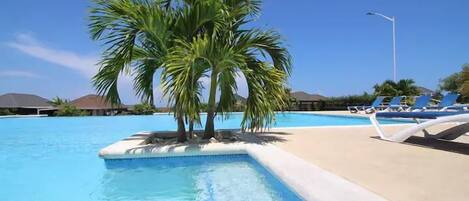 10 piscines extérieures