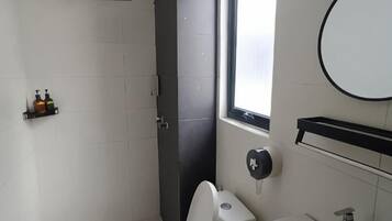 A bathroom with a toilet, sink, and a window.