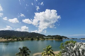 Een meer met een heldere lucht, palmbomen en een berg in de verte.