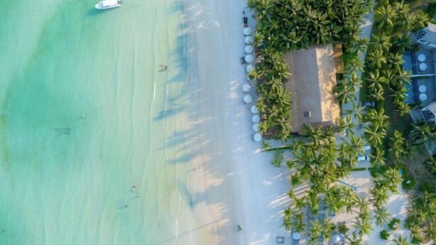 Vista aérea de uma praia com uma fileira de palmeiras e espreguiçadeiras.