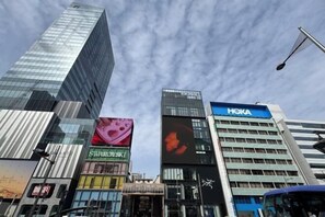 Utsikt fra overnattingsstedet