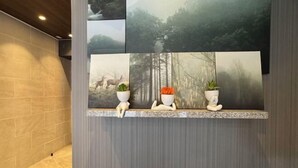 A wall with a series of framed pictures depicting forest scenes, a shelf with potted plants, and a textured wall. - Gracia Hotel (Osaka)