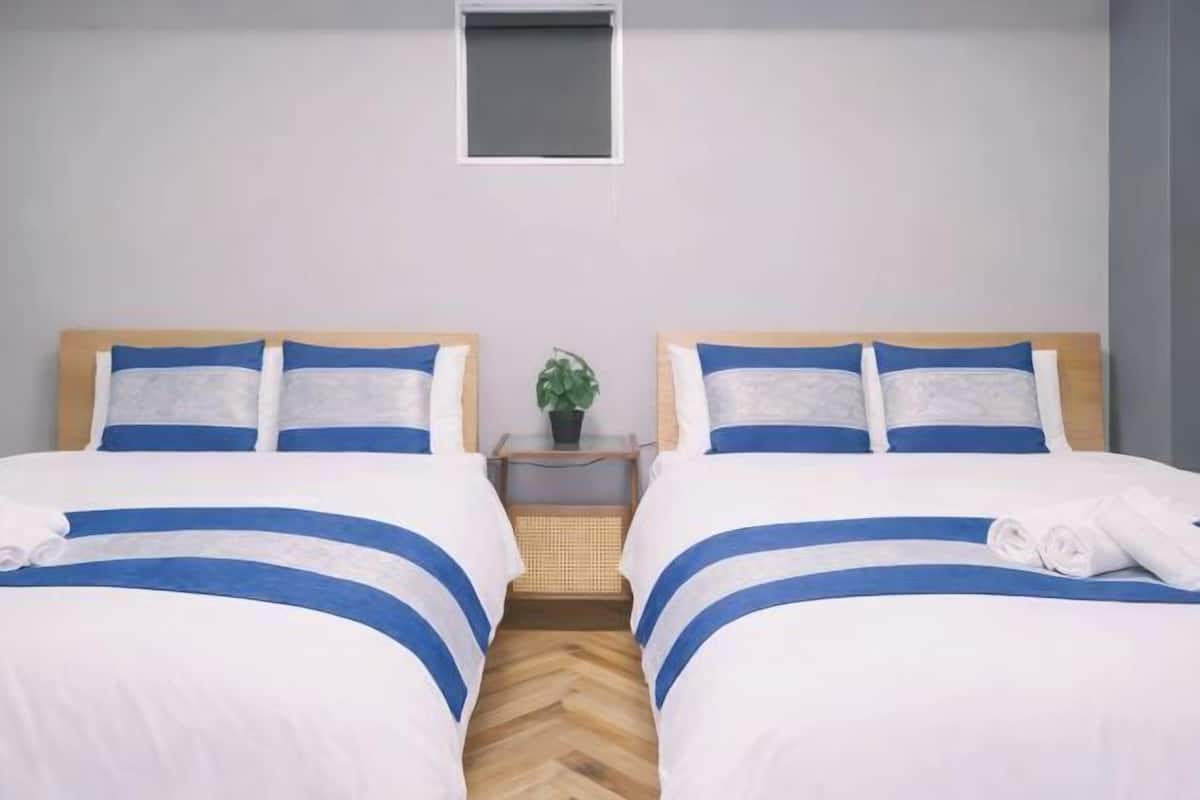 A hotel room with two beds, a small bedside table with a plant, and a window with a blind.