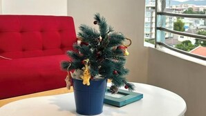 Un pequeño árbol de Navidad en una maceta azul sobre una mesa blanca, con un sofá rojo y una ventana con vistas a la ciudad al fondo.