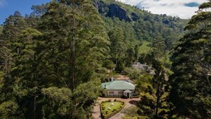 Un chalet isolé, entouré d’une forêt dense et adossé à une montagne.