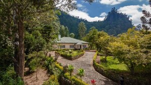 Une maison entourée d’une végétation luxuriante, avec un chemin de pierres qui y mène.