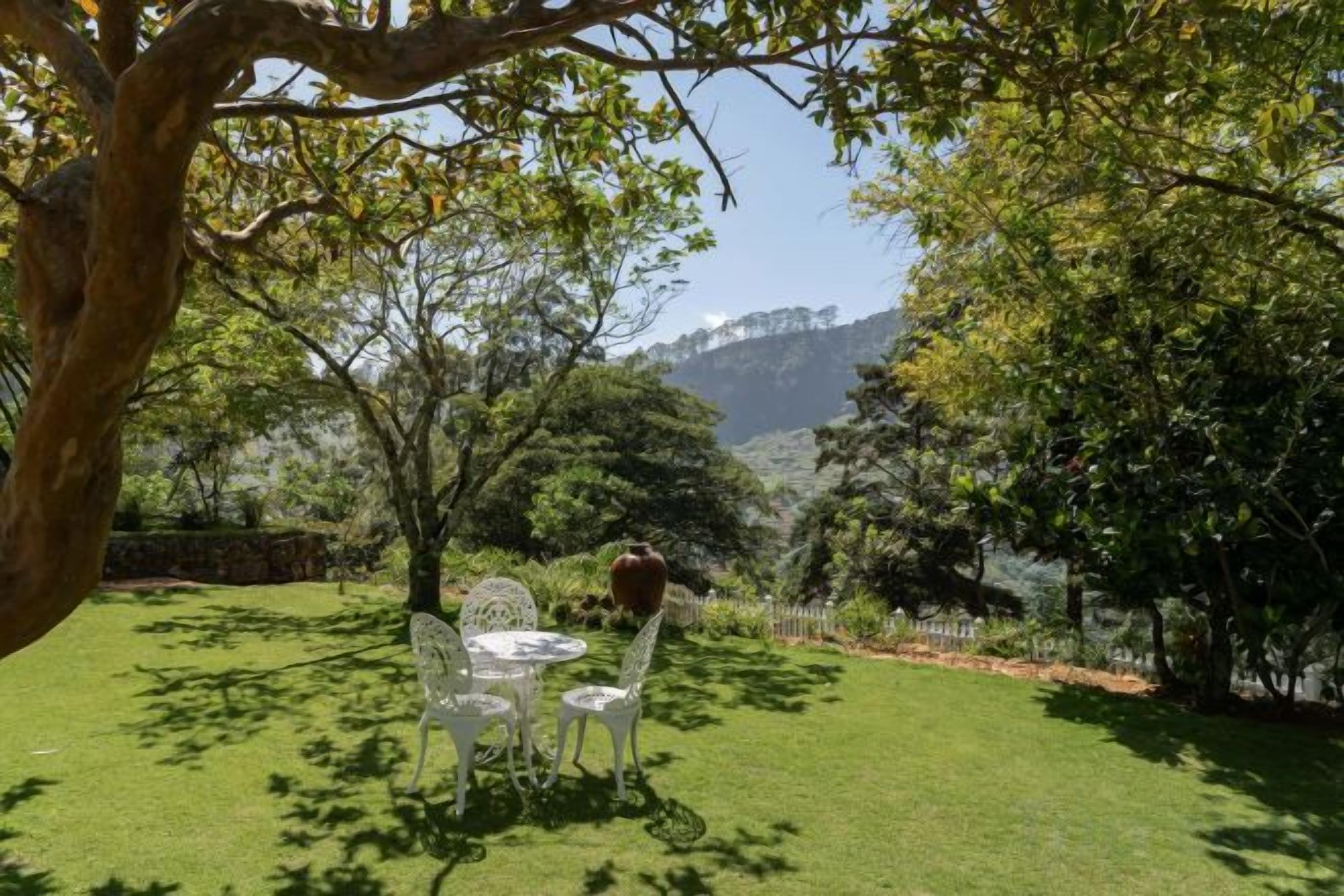 Un espacio al aire libre con césped, una mesa y sillas, rodeado de árboles y vistas a colinas.