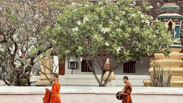 Dos monjes caminando cerca de un edificio con un árbol y escalones.