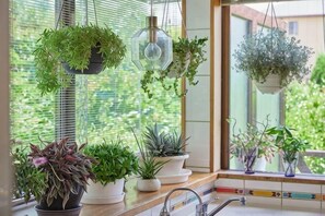 Interior - Malama Monstera - In a botanical space, pls have a relaxing time. (Isumi)