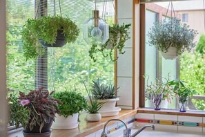 Interior - Malama Monstera In a botanical space, pls have a relaxing time. (Isumi)