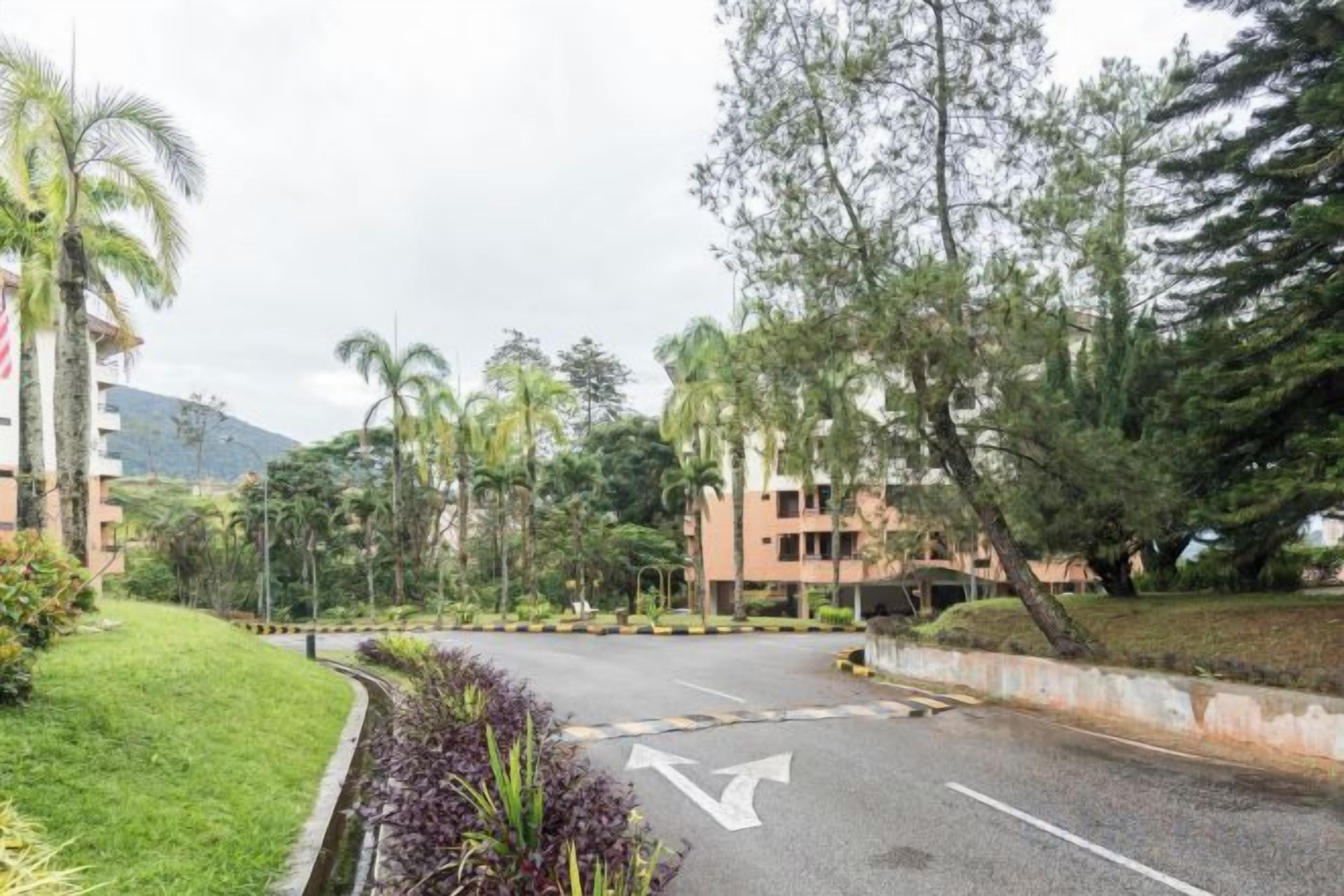 A road with a left-turn arrow, surrounded by greenery and buildings.
