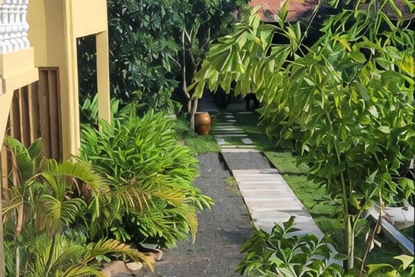 A garden pathway with various plants and a large pot.
