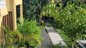 A garden pathway with various plants and a large pot. - Villa Romduol (Kampot)