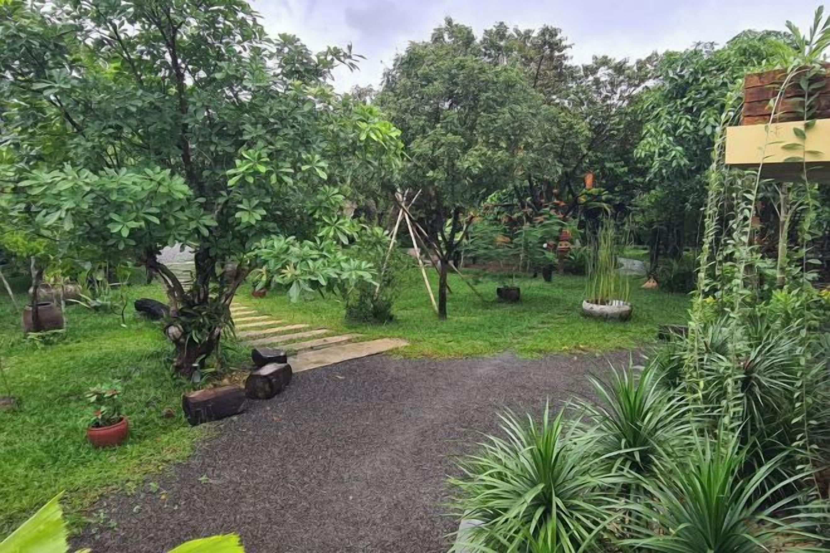 A garden with a gravel path, various plants, and a building in the background.