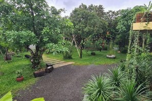 Un jardin avec un chemin de gravier, différentes plantes et un bâtiment en arrière-plan.