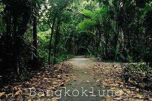 Unclassified image, 4 of 13, button - The Bird Nest Homestay& Coffee Shop (Phra Pradaeng)