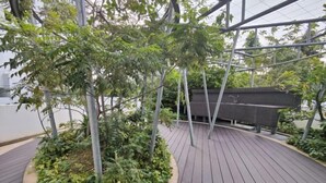 An outdoor area with a wooden deck, surrounded by greenery and a metal structure. - Mulberry Verve Suites KL Mid Valley 4Pax 2 Bedroom (Kuala Lumpur)