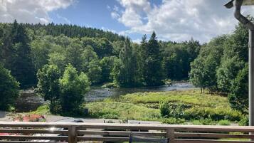 Ărea da propriedade