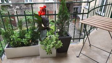 Economy studio | Balkon