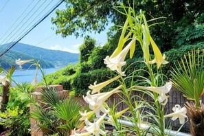 Ein Garten mit verschiedenen Pflanzen und Blumen, darunter weiße und gelbe Blüten, mit Blick auf einen See und Berge im Hintergrund.
