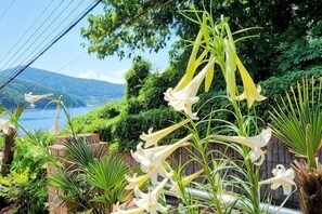 A garden with white flowers and a view of a lake.
