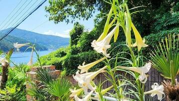 Vistas desde el alojamiento