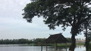 Un belvédère au bord d’un lac paisible, avec un grand arbre à proximité.