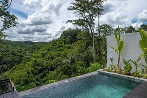Outdoor pool - Micaela Bali Ubud Villas (Bali)