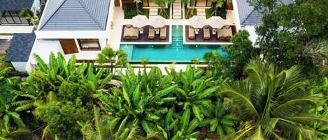A modern hotel with a swimming pool, multiple guest rooms, and lush tropical vegetation.