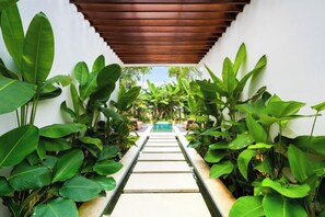 Un camino que lleva a una piscina rodeada de abundante vegetación.