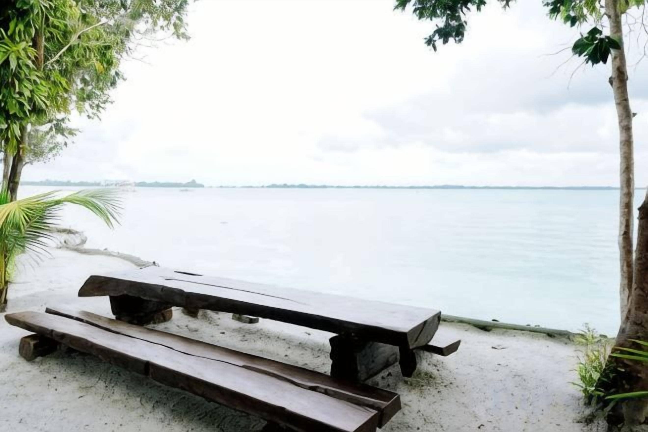 A beach with a wooden picnic table and a palm tree.
