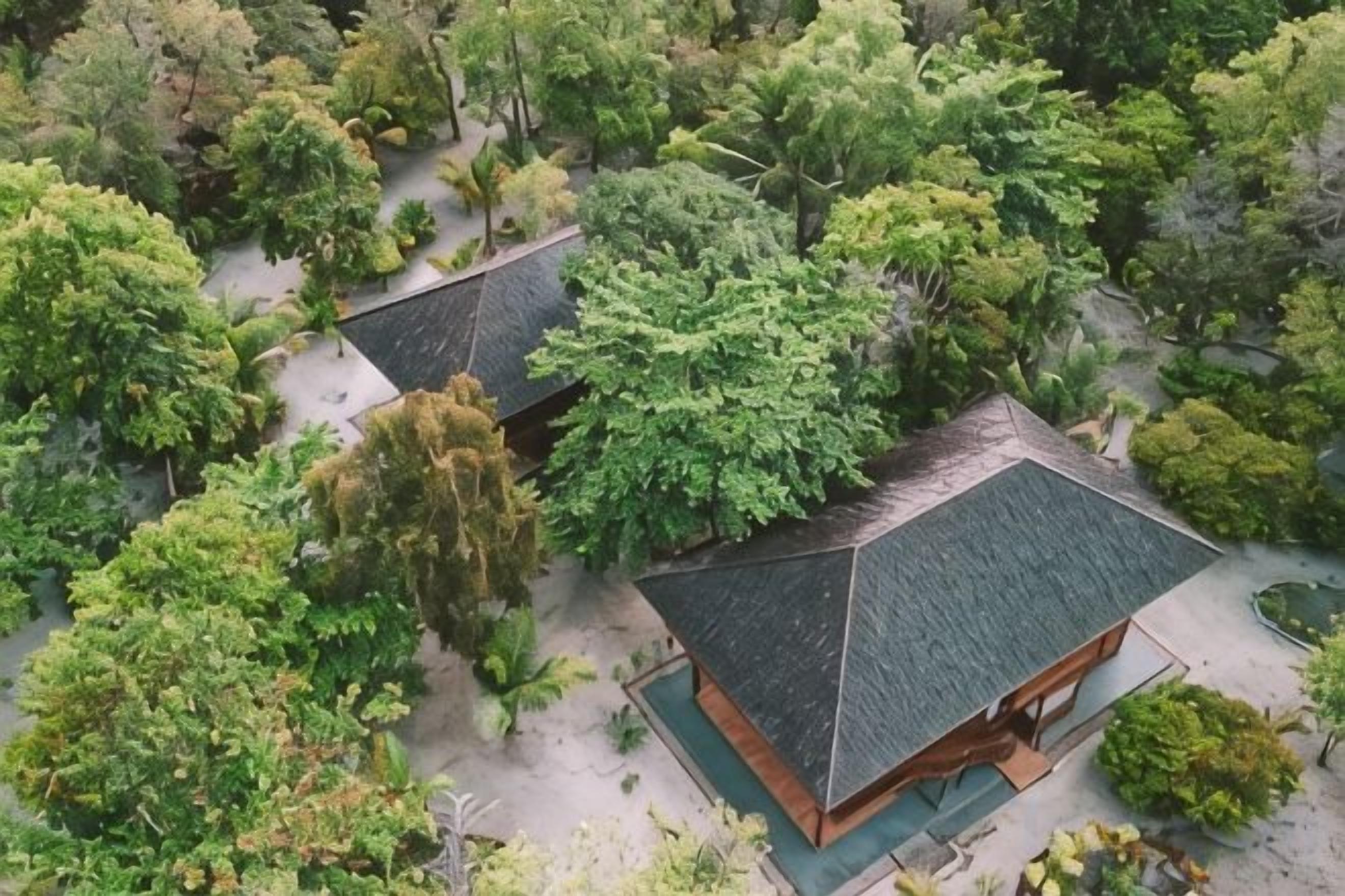 A traditional Japanese-style building with a sloped roof surrounded by dense greenery.