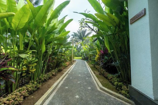 A pathway flanked by lush tropical plants leading to a building with a sign reading 'Dodoan.' - The Lanaya Villa (Bali)