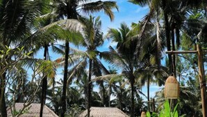 A tropical resort with thatched-roof huts surrounded by palm trees. - The Lanaya Villa (Bali)