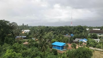 Zona residencial con casas rodeadas de abundante vegetación y una torre de comunicaciones destacada en la distancia.