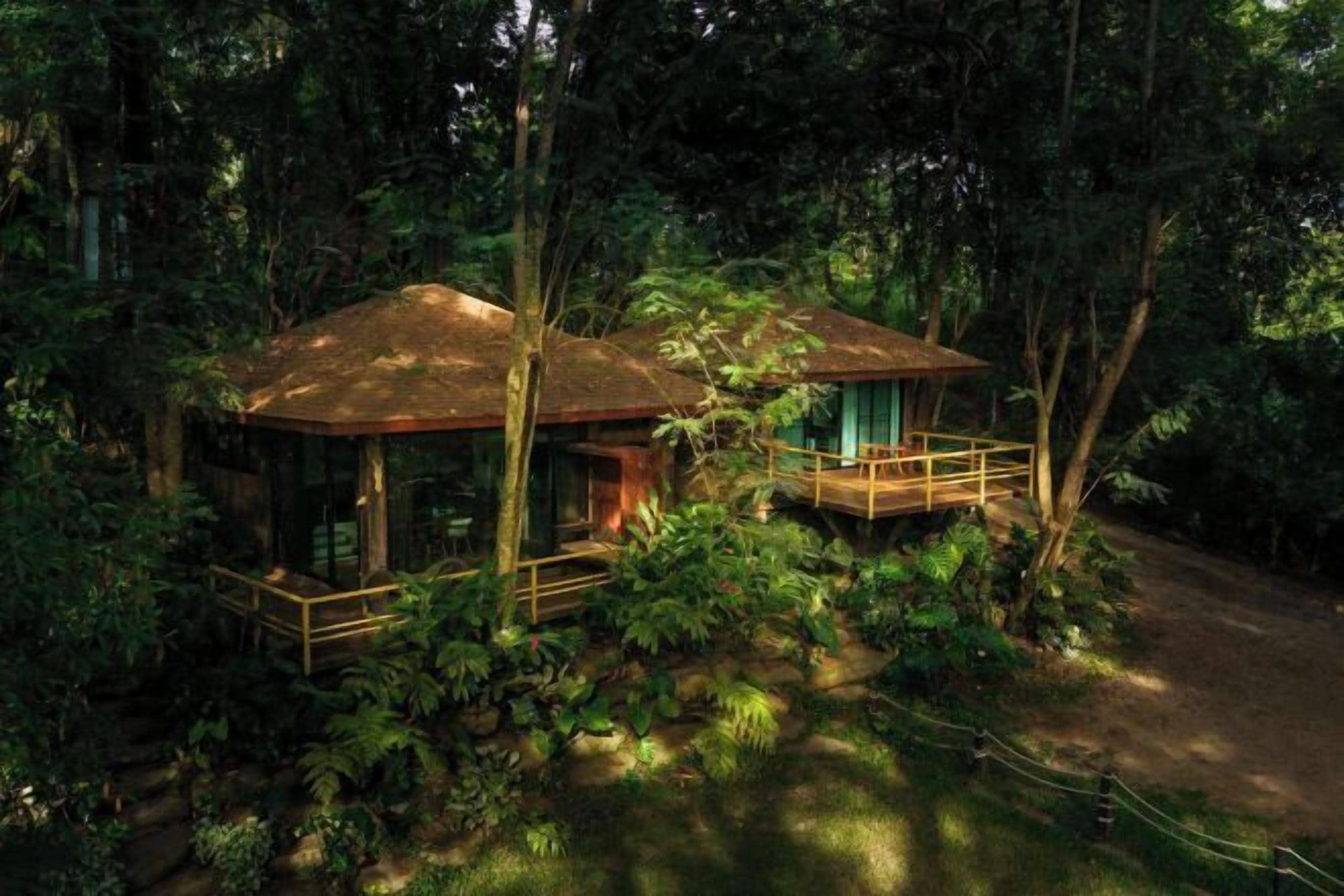 A rustic wooden cabin surrounded by dense forest, with a wooden deck and a small porch.