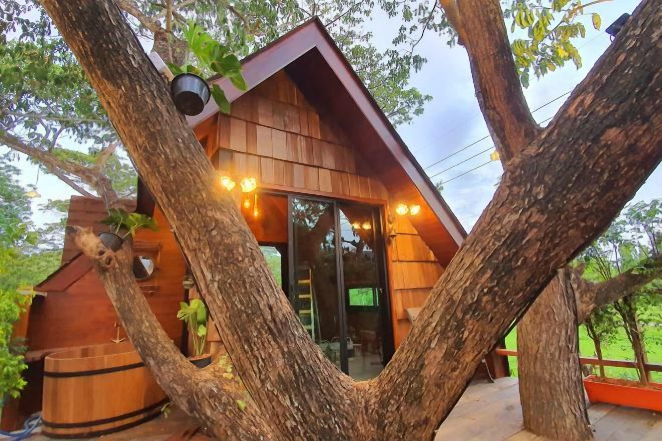 A treehouse with a wooden exterior, large windows, and a ladder leading up to the entrance.
