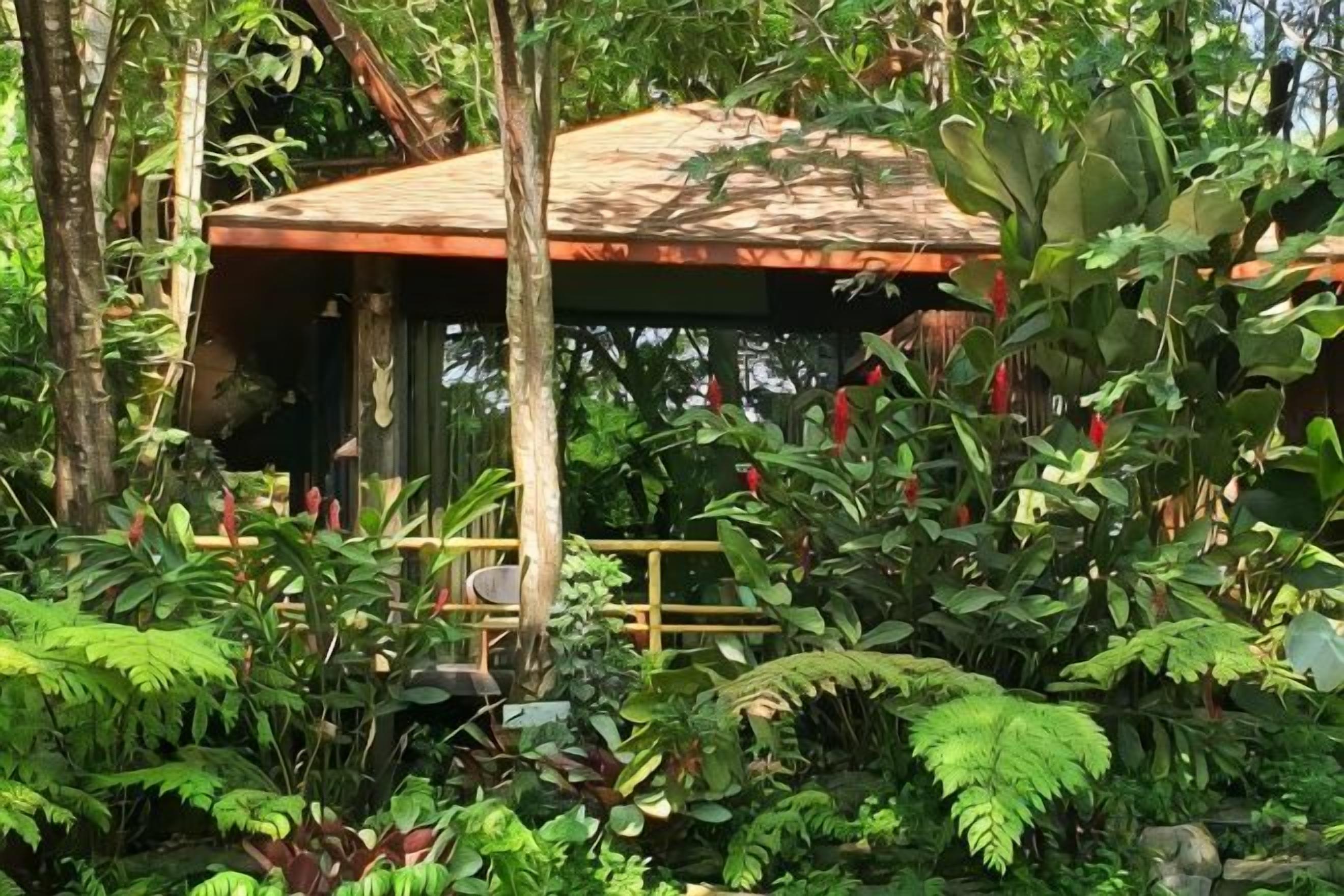 A wooden structure with a thatched roof surrounded by dense tropical foliage.