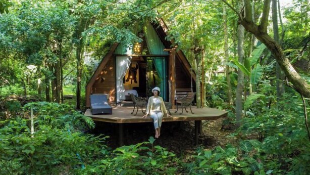 Una cabaña de madera con terraza, rodeada de un bosque denso.