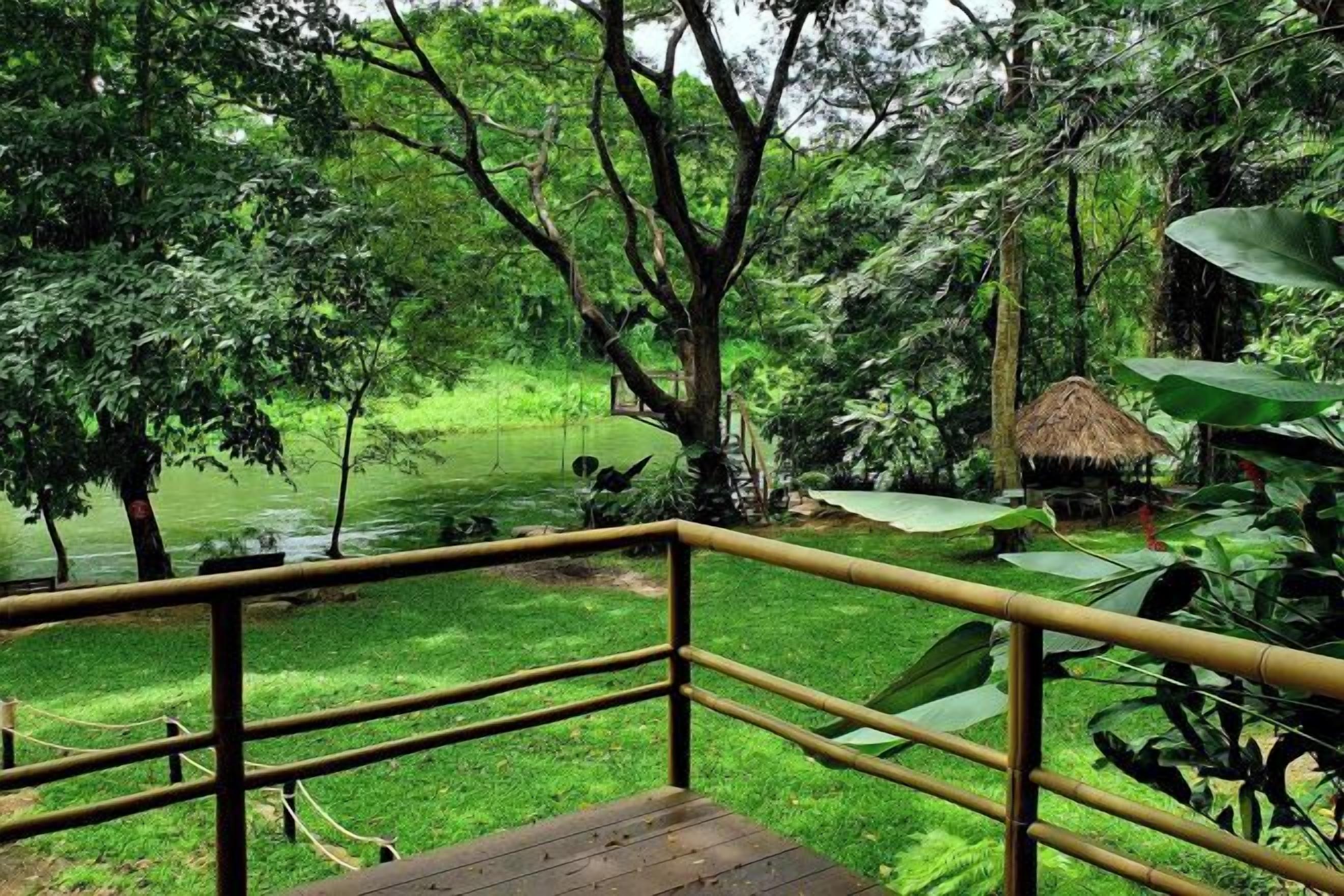 A wooden deck with a metal railing overlooking a lush garden with a pond and a thatched-roof structure.