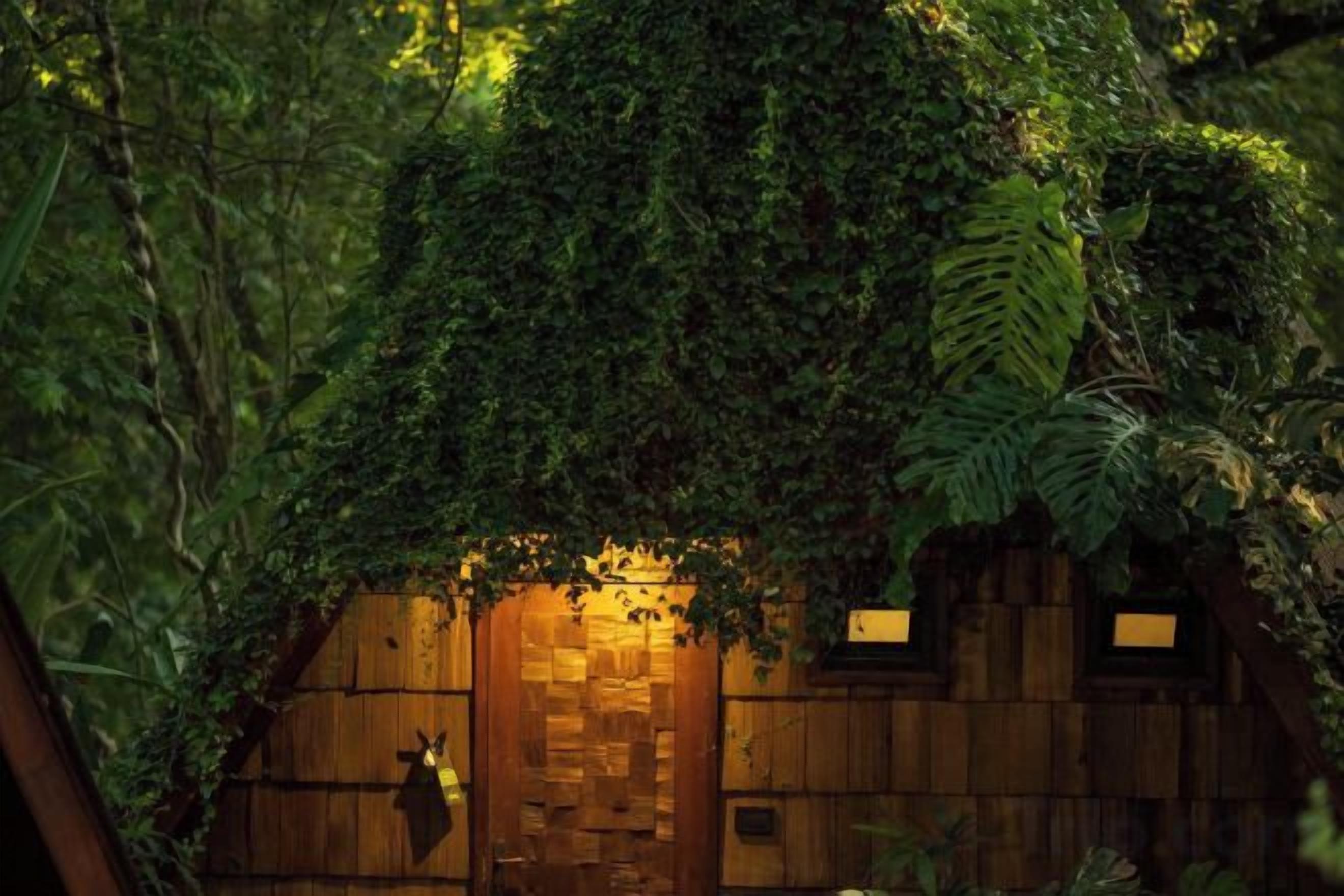 A wooden structure with a door, surrounded by dense foliage.