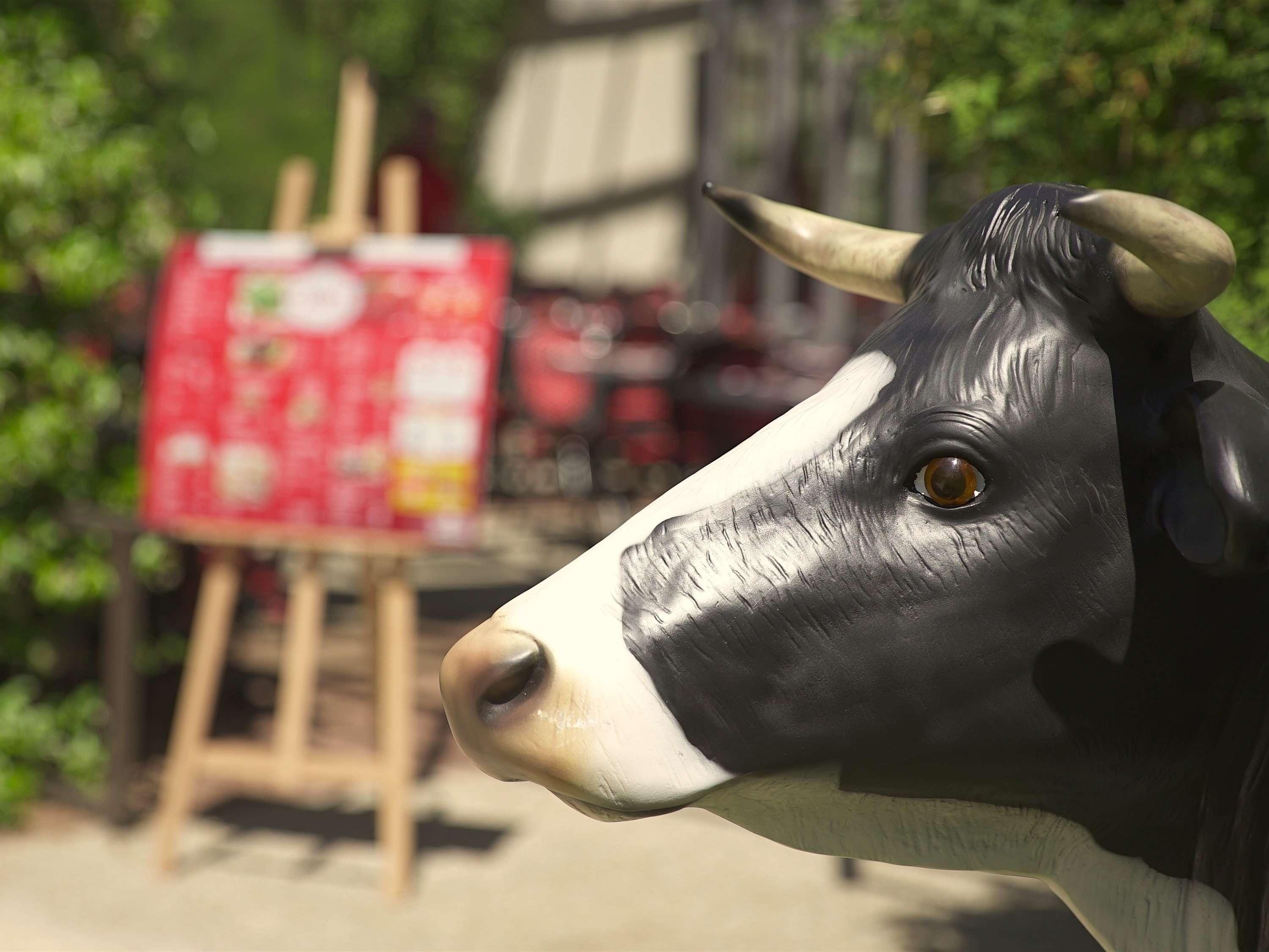 A close-up of a cow statue with a white face and horns, set against a blurred background with a red sign.