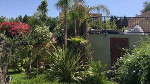 A garden with various plants and a metal fence.