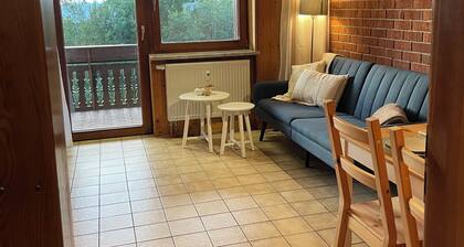 Cozy vacation apartment in Haus Schönblick